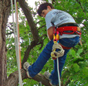 Tree Climbing Weekend