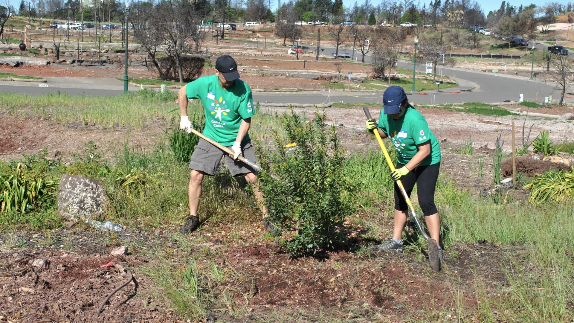 Planting Purpose with the Arbor Day Foundation • Arbor Day Blog