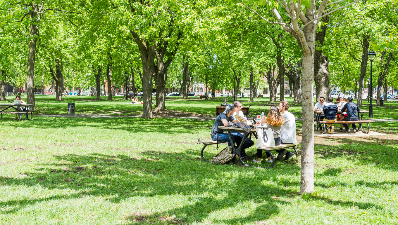 6 Ways Urban Trees Make You More Active Outdoors - Arbor Day Blog