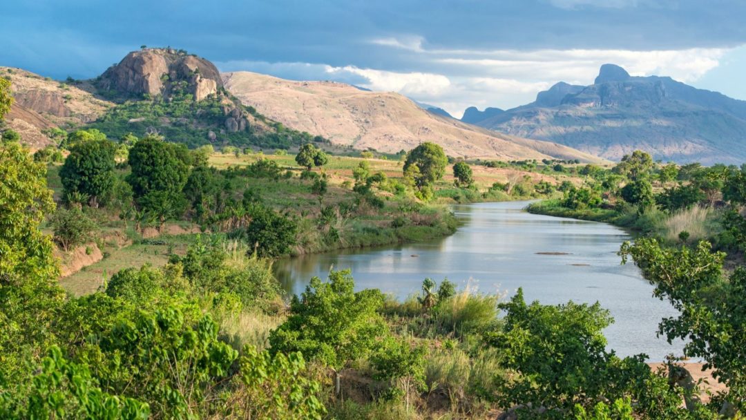 Reforestation In Madagascar Gains Momentum Arbor Day Blog