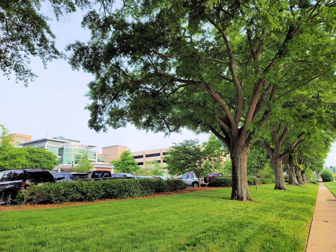 Tanner Medical Center, Tree Campus Healthcare