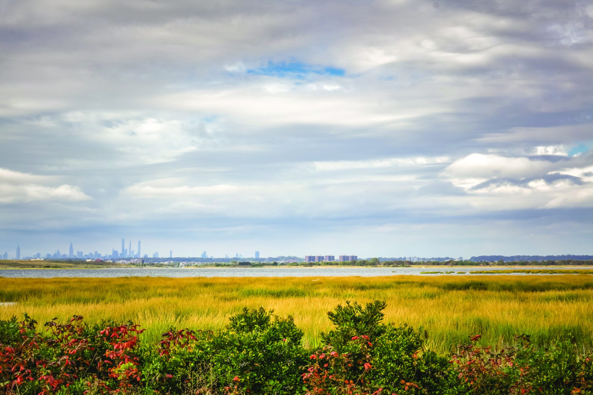 Saving Natural Areas In Our Communities: 5 Cities Doing It Right ...
