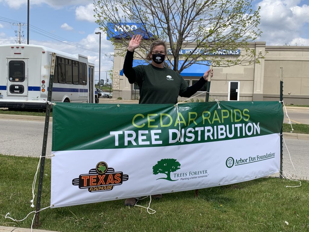 Distribución de árboles de Cedar Rapids