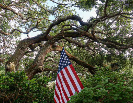 flag with live oak tree in St. Augustine
