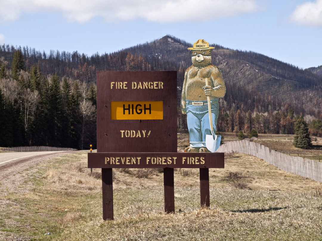 Smokey Bear has been helping to prevent forest fires since 1944.