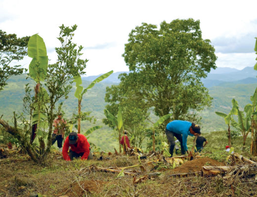 people planting trees on a farm in Nicaragua