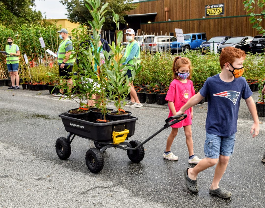 two children pulling a wagon loaded with three trees to plant in their yard