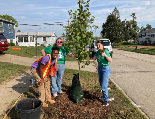 three community volunteers plant a street tree in a suburban neighborhood of Cedar Rapids to help with derecho recovery