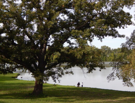 Beautiful lake view at Genesee Conservation District in Flint, Michigan